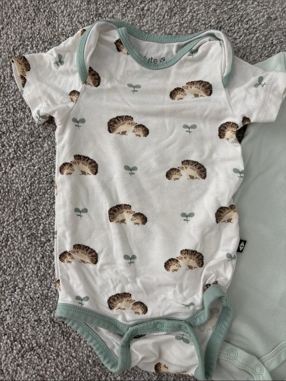 Multiples Mint & Hedgehog Print Baby One-Pieces